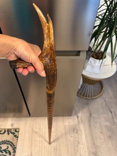 Hand carved walking stick - hand,