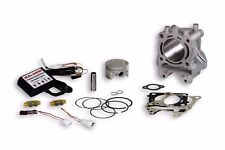 3117560 Cylinder + Malossi