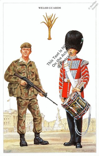 Welsh guards british - welsh, army