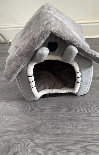 Large pet warm house cat - pet, dog
