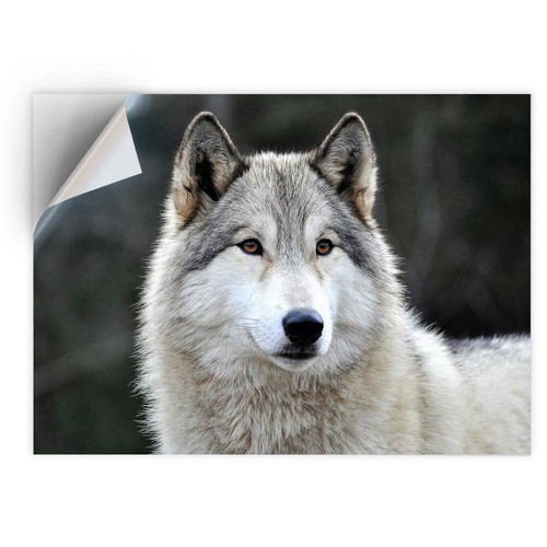Vinyl sticker white - x,