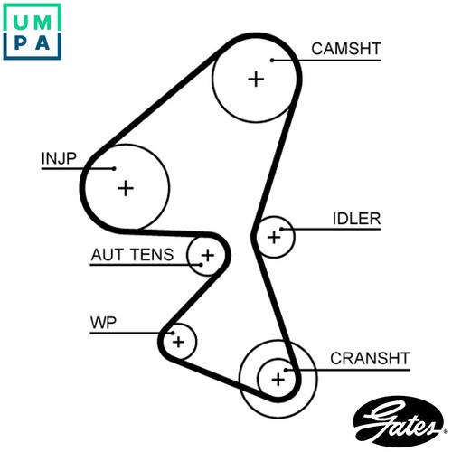 Timing belt 5688xs - for, peugeot