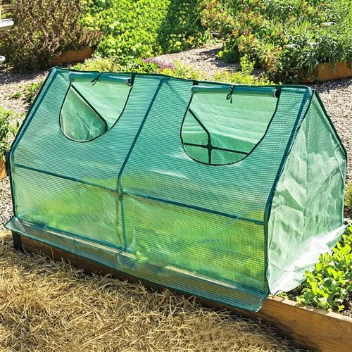 Mini walk greenhouse poly - walk-in,