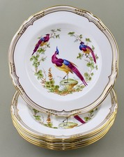 SPODE ENGLAND CHELSEA BIRD RIMMED SOUP PLATES BOWLS X 6 ROYAL PROVENANCE MINT!