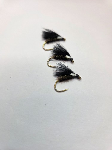 Black cormorant fly - black,