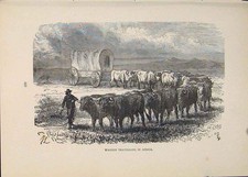 Original Old Antique Print Waggon Africa Waggons Travel Travelling Cart Carriage