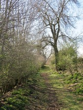 Photo A1 Bridleway near Angram