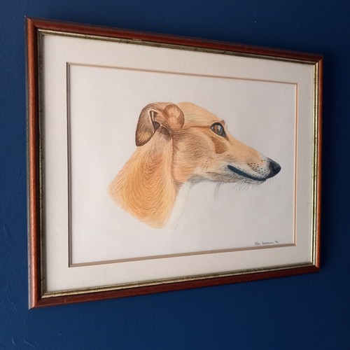 Peter borrmann original - borrmann,