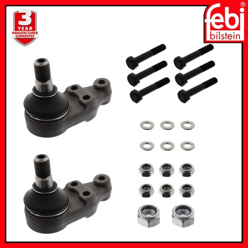 Lower front ball joint - lower,
