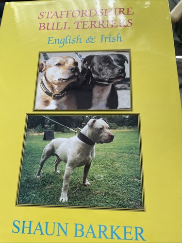 Staffordshire bull terrier - bull,