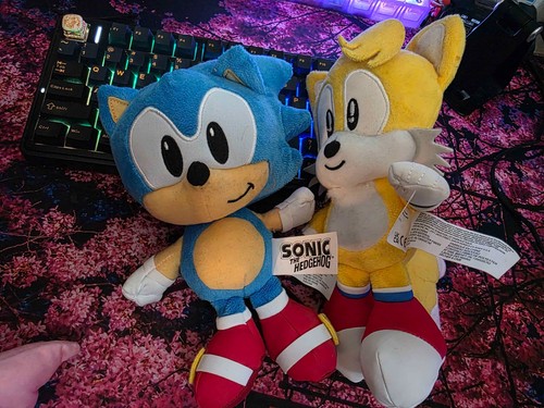 Sonic the hedgehog and - hedgehog,