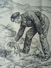 1943 Original Print WW2 MONTGOMERY - 8TH ARMY THE DESERT FERRET - DESERT RAT