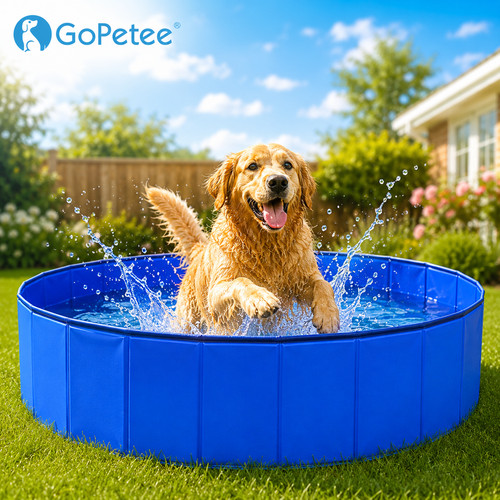 Portable pet swimming pool - pool, pvc