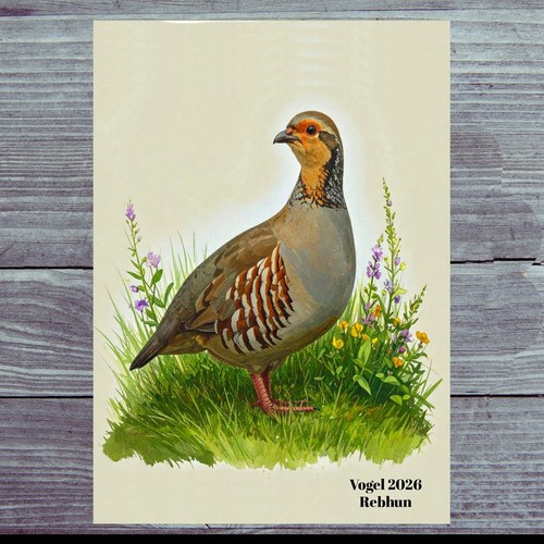 Photo magnet partridge fridge - magnet,