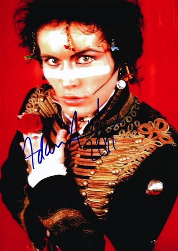 Adam ant signed - adam,