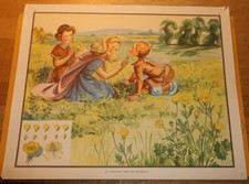 Eileen Soper EnId Blyton Nature plate TICK-TOCK & THE BUTTERCUP 21x17 print