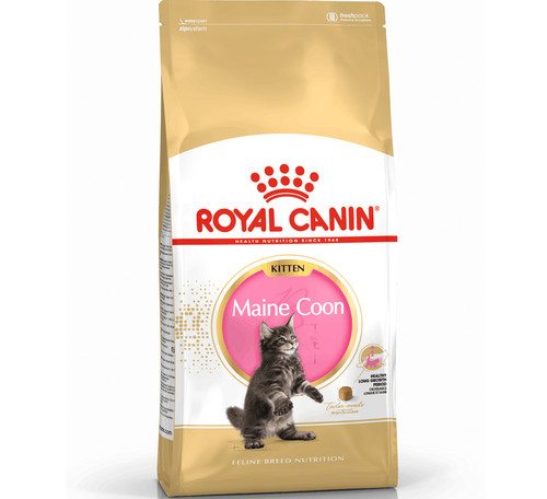 Royal canin kitten - kitten, coon