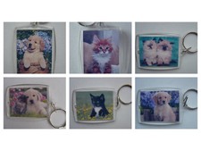 Cute Cats kittens dogs puppies, Photo Keyring / bag tag, clear plastic, 