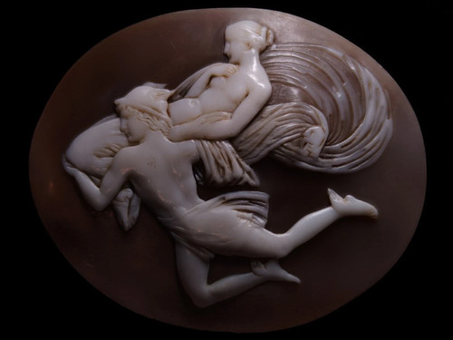Large size antique shell cameo - size,