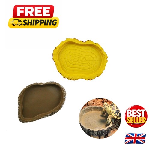 Classic tree stump feeding - stump,