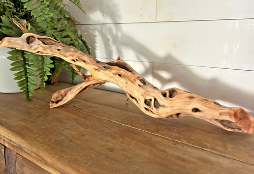Large driftwood manzanita - driftwood,