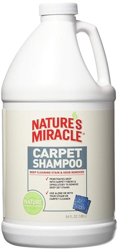Carpet shampoo deep cleaning - shampoo, deep-cleaning