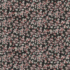 Floral Cotton Fabric