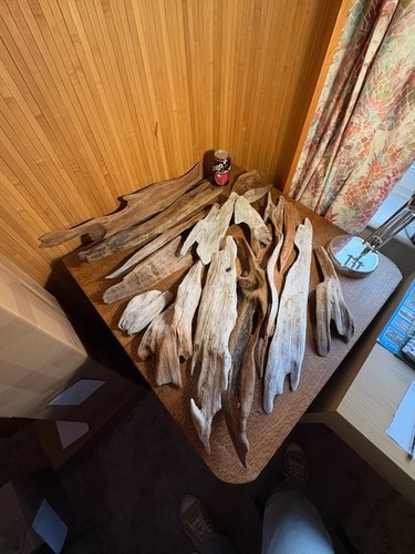 Driftwood pieces bogwood - driftwood, 17