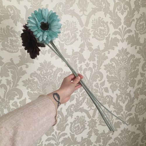 Decorative gerbera daisy - decorative,