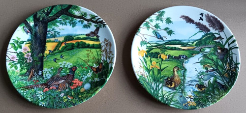 Wedgewood china plates - wedgewood,