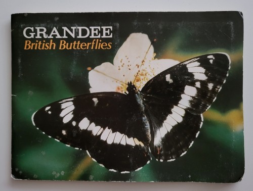 British butterflies grandee - butterflies,