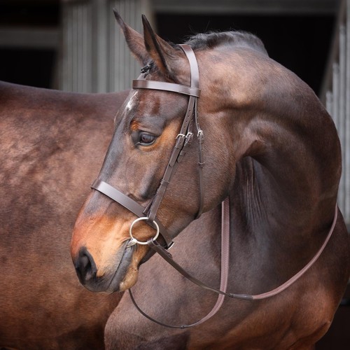 Shires velociti gara plain - velociti,