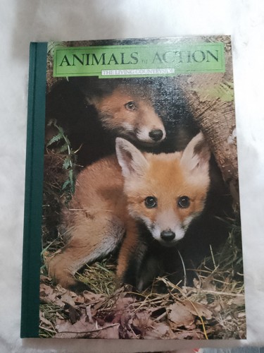 Animals action the living - animals, in