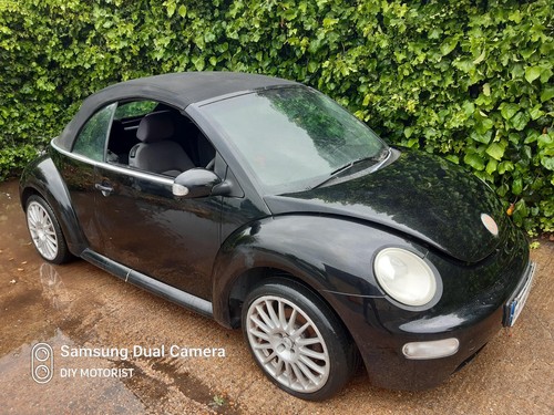 Volkswagen beetle 04 1596 - volkswagen,
