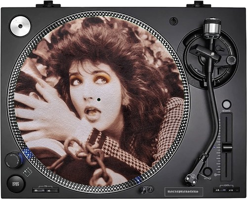 Kate bush the dreaming - kate,