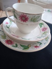 9 Piece Bristol China Set (