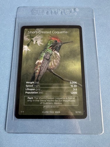 Life tcg birds - life,