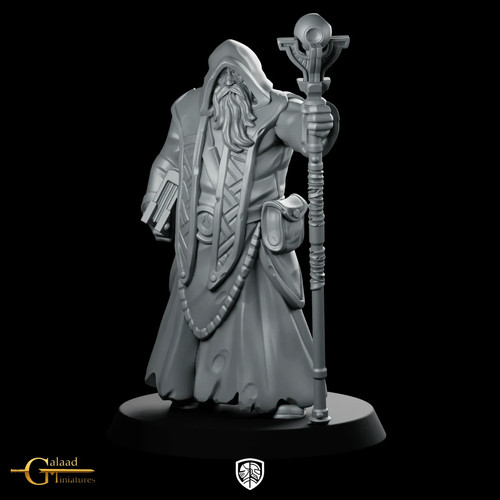 Dnd wizard miniature - wizard, hooded