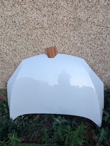 Megane mk3 265 275 - 265, face