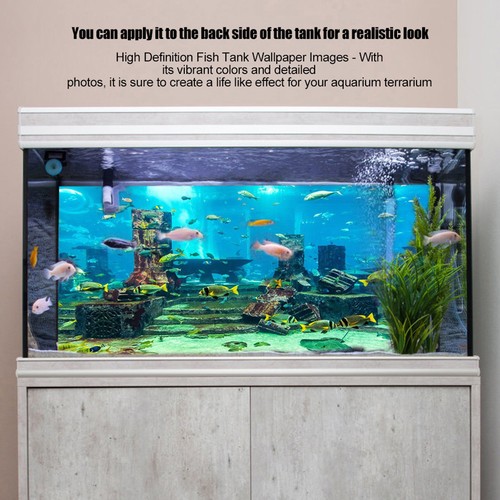 Acoral aquarium background - acoral,