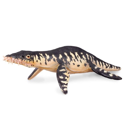 Collecta liopleurodon dinosaur - collecta,