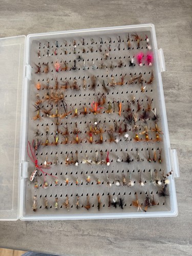 Fly fishing trout flies - fly,