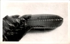 Vintage Macro Scientific