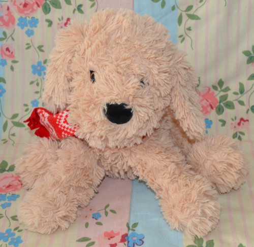 Tesco curtis the - tesco, cavapoo