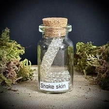 Snake Skin Curio Jar