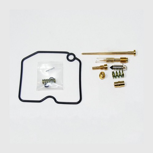 Carburetor repair kit - carburetor,