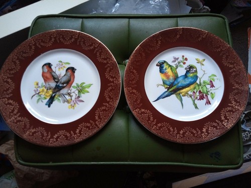 Pair decorative 10 - a,