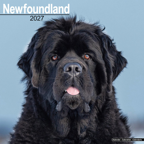 Newfoundland 2027 calendar - calendar, |
