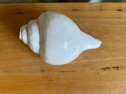 Blowing shankh indian conch - -,