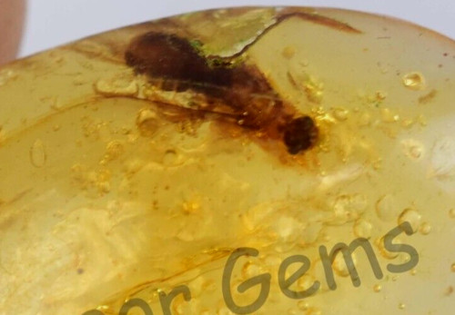 100 natural yellow - 17.00, 100%